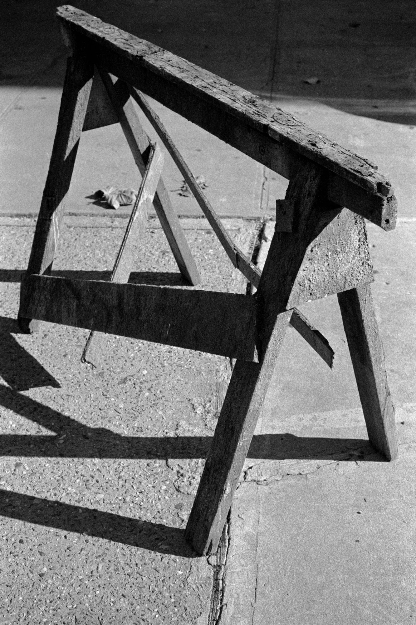 Sawhorse, 2022
